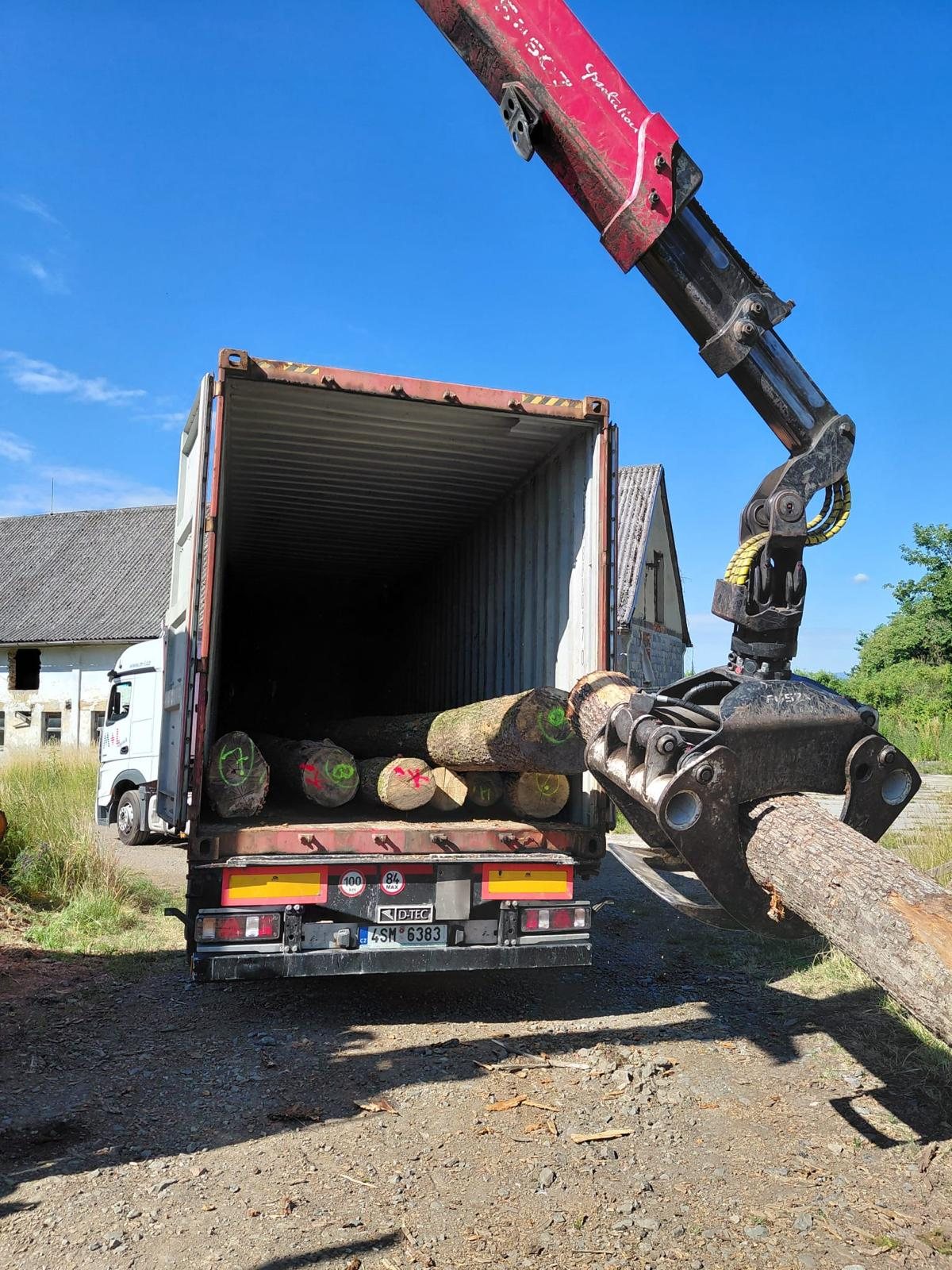 European logs loaded into a shipping container