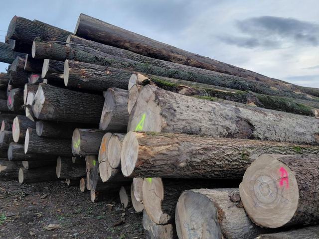Kulatina a sklady – AZ FOREST 26