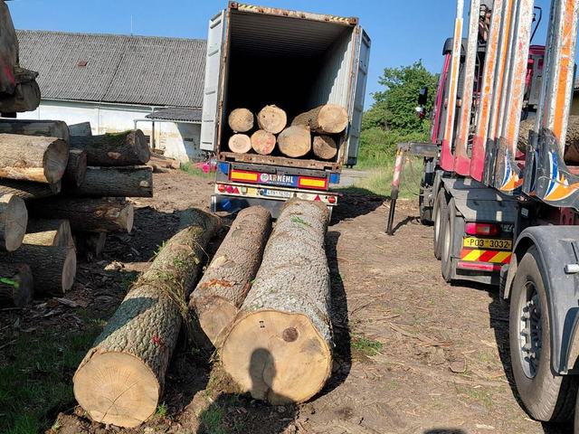 Kulatina a sklady – AZ FOREST 30