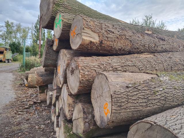 Kulatina a sklady – AZ FOREST 34
