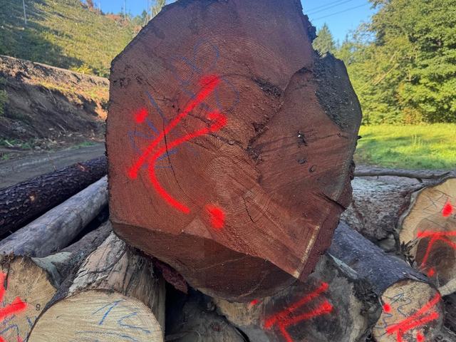 Kulatina a sklady – AZ FOREST 36
