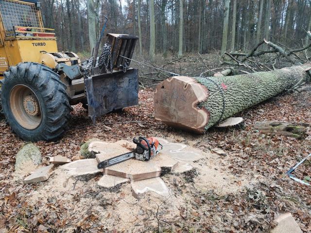 Nakládka a export – AZ FOREST 41