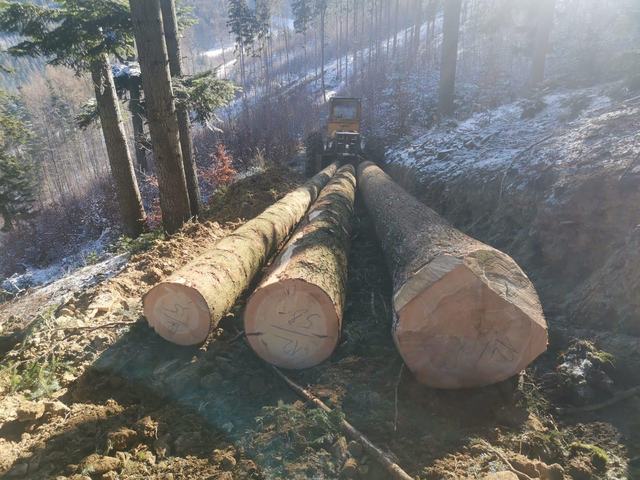 Nakládka a export – AZ FOREST 43