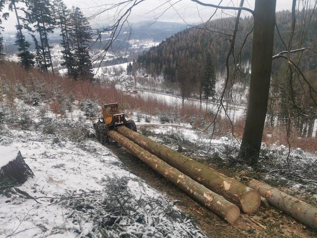 Nakládka a export – AZ FOREST 45