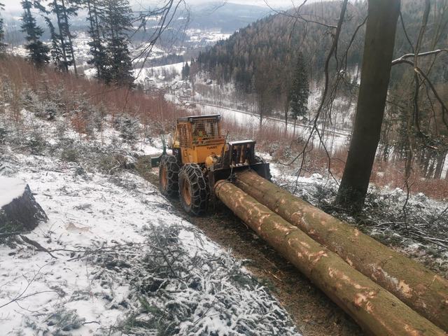 Nakládka a export – AZ FOREST 46