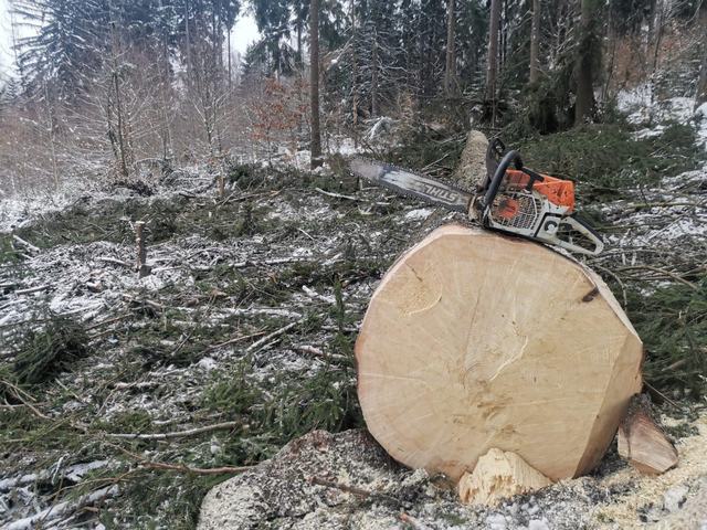 Nakládka a export – AZ FOREST 47