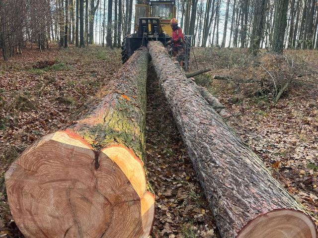 Kulatina a sklady – AZ FOREST 51