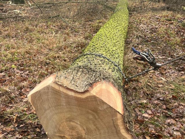 Kulatina a sklady – AZ FOREST 54