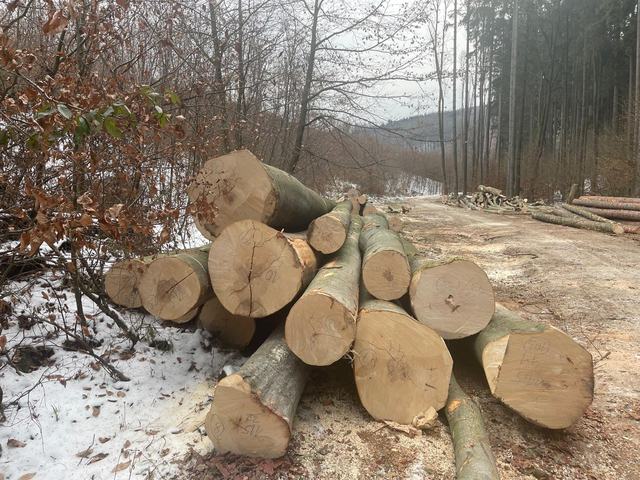 Technika a přibližování – AZ FOREST 93