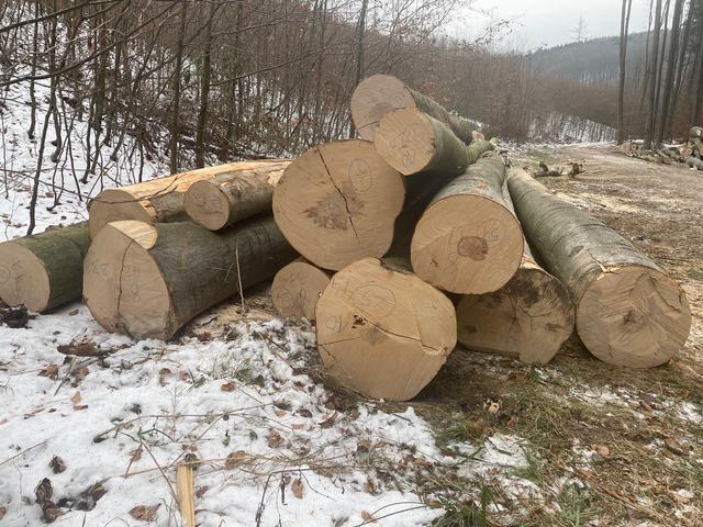 Technika a přibližování – AZ FOREST 94
