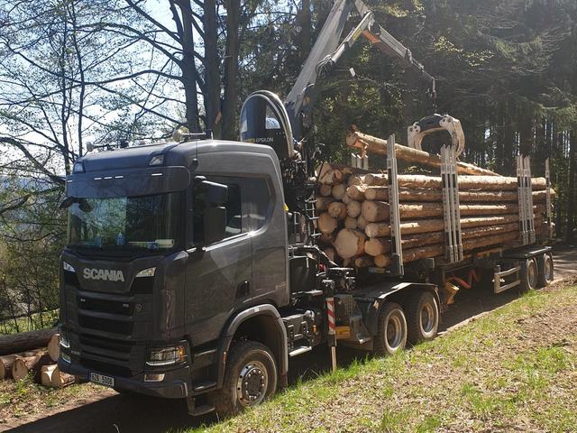 Těžba v lese – AZ FOREST 114