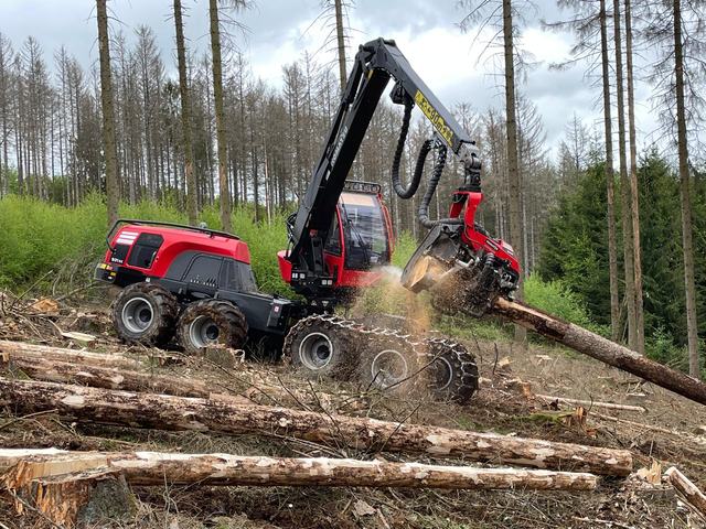 Těžba v lese – AZ FOREST 116
