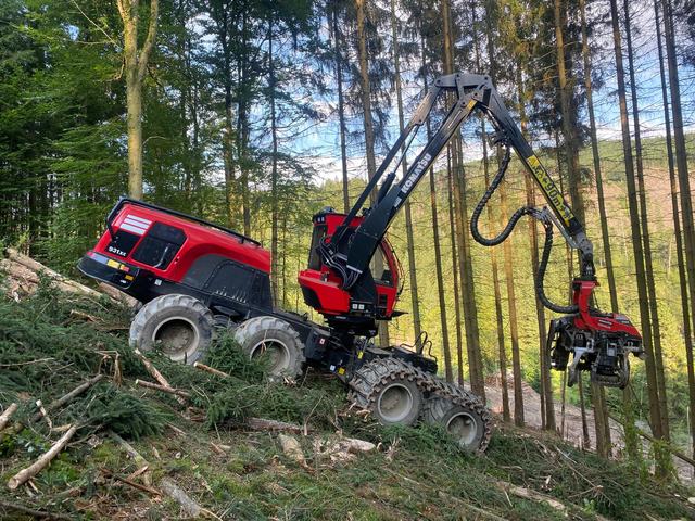Těžba v lese – AZ FOREST 117