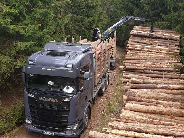 Těžba v lese – AZ FOREST 119