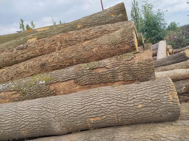 Lesnické práce – AZ FOREST 140